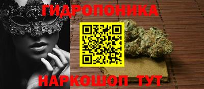 стаф Жуковский